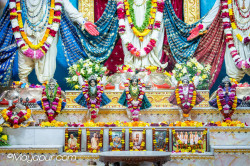 Daily Darshan