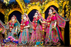 Daily Darshan