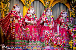 Daily Darshan