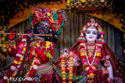 Daily Darshan