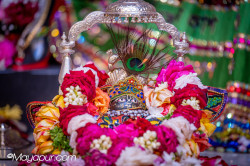 Daily Darshan