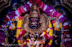 Daily Darshan
