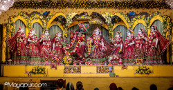 Daily Darshan
