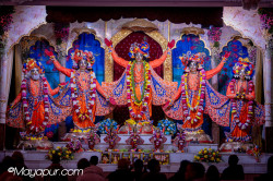 Daily Darshan