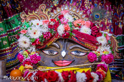 Daily Darshan