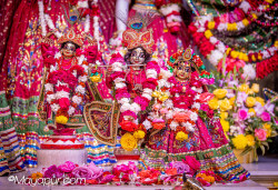 Daily Darshan