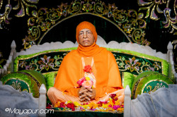 Daily Darshan