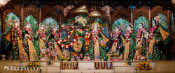Daily Darshan