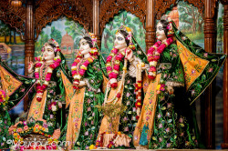 Daily Darshan