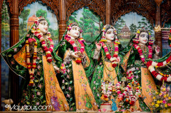 Daily Darshan