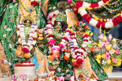 Daily Darshan