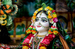 Daily Darshan