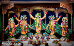 Daily Darshan