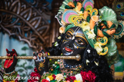 Daily Darshan