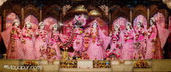 Daily Darshan