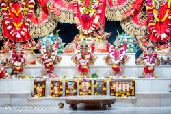 Daily Darshan