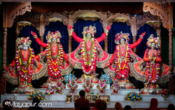Daily Darshan