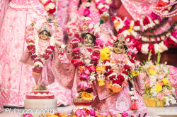 Daily Darshan