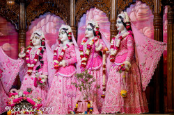 Daily Darshan