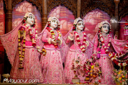 Daily Darshan