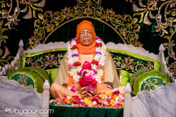 Daily Darshan