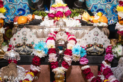 Daily Darshan