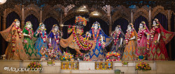 Daily Darshan
