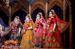 Daily Darshan