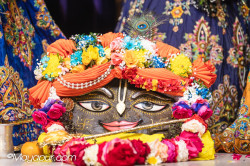 Daily Darshan