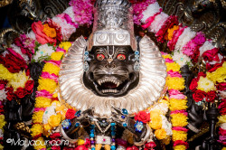 Daily Darshan