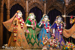 Daily Darshan