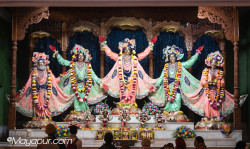 Daily Darshan