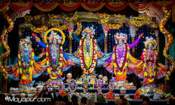 Daily Darshan