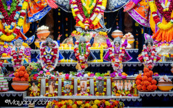 Daily Darshan