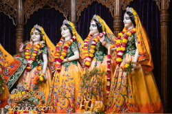 Daily Darshan