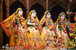 Daily Darshan