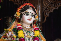 Daily Darshan