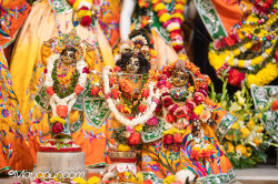 Daily Darshan