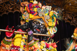 Daily Darshan