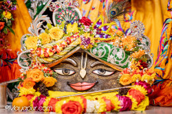 Daily Darshan