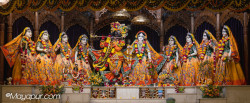 Daily Darshan