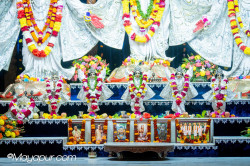 Daily Darshan