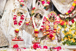 Daily Darshan