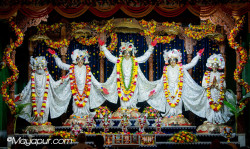 Daily Darshan