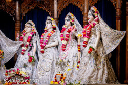 Daily Darshan