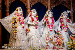 Daily Darshan