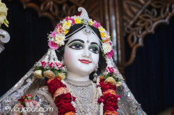 Daily Darshan