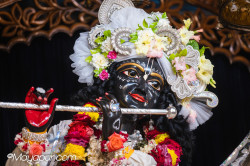 Daily Darshan
