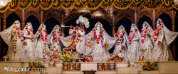 Daily Darshan