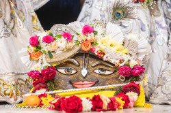 Daily Darshan